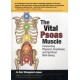 The Vital Psoas Muscle: Connecting Physical, Emotional, and Spiritual Well-Being