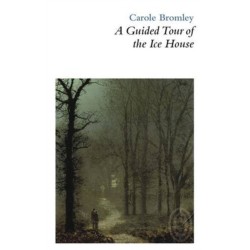 A Guided Tour of the Ice House