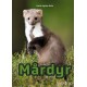 Mårdyr
