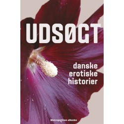Udsøgt: Danske erotiske historier
