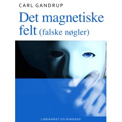 Det magnetiske felt (falske nøgler)