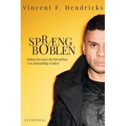 Spræng boblen: Sådan bevarer du fornuften i en ufornuftig verden