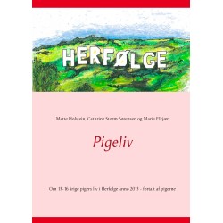 Pigeliv: Om 13-16 årige pigers liv i Herfølge anno 2013 - fortalt af pigerne