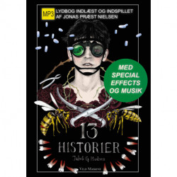 13 HISTORIER