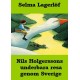Nils Holgerssons underbara resa genom Sverige