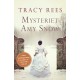 Mysteriet Amy Snow