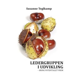 Ledergruppen i udvikling: bring potentialet frem