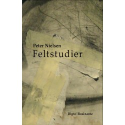 Feltstudier