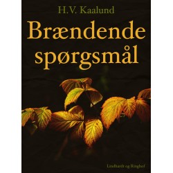 Brændende spørgsmål