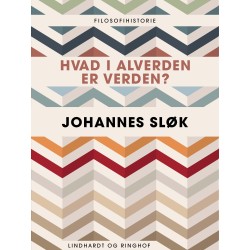Hvad i alverden er verden?