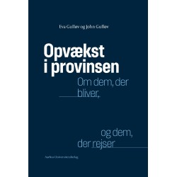 Opvækst i provinsen: Om dem, der bliver, og dem, der rejser