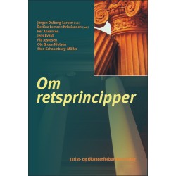 Om retsprincipper