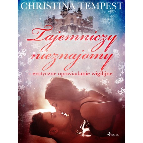 Tajemniczy nieznajomy - erotyczne opowiadanie wigilijne