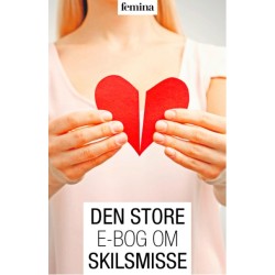 Den store e-bog om skilsmisse
