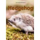 Hedgehog