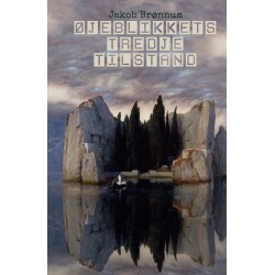 Øjeblikkets tredje tilstand