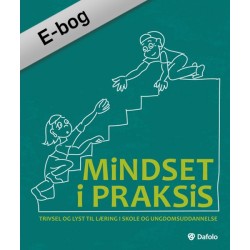 Mindset i praksis