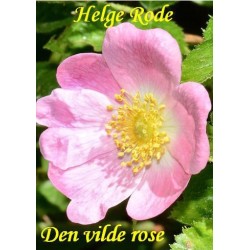 Den vilde rose