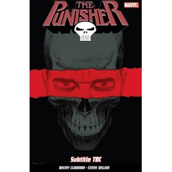 Punisher Vol. 1