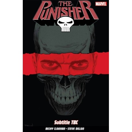 Punisher Vol. 1