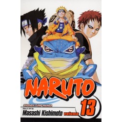 Naruto, Vol. 13