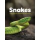 Snakes: Their diversity, ecology and behaviour