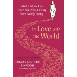 In Love with the World: What a Monk Can Teach You About Living from Nearly Dying