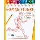 How To Draw The Human Figure