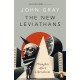 The New Leviathans: Thoughts After Liberalism