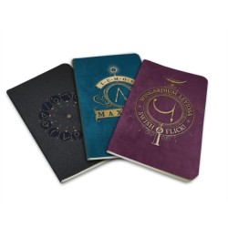 Harry Potter: Spells Pocket Journal Collection
