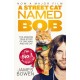 A Street Cat Named Bob: How one man and his cat found hope on the streets