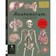 Anatomicum Junior