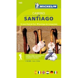 Camino de Santiago - Zoom Map 160: Map