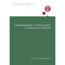 From Insurance to Intelligence:  A Conceptual History of Political Risk