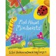Mad About Minibeasts!