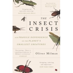 The Insect Crisis: Our Fragile Dependence on the Planet's Smallest Creatures