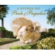 A Guinea Pig Pride & Prejudice