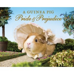 A Guinea Pig Pride & Prejudice