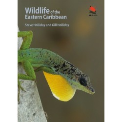 Wildlife of the Eastern Caribbean
