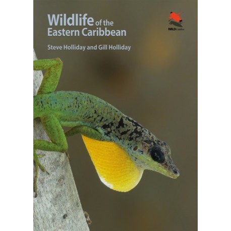 Wildlife of the Eastern Caribbean