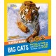 Everything: Big Cats