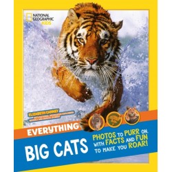 Everything: Big Cats