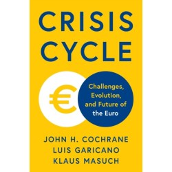 Crisis Cycle: Challenges, Evolution, and Future of the Euro