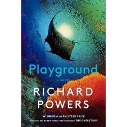 Playground: A Novel