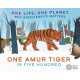 One Life, One Planet: One Amur Tiger in Five Hundred: Why Biodiversity Matters