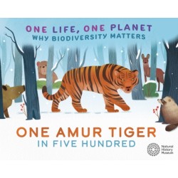 One Life, One Planet: One Amur Tiger in Five Hundred: Why Biodiversity Matters