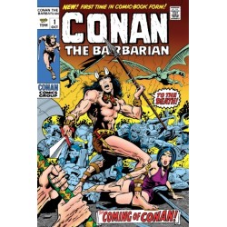 Conan The Barbarian: The Original Comics Omnibus Vol.1