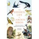 The Hidden Life of Garden Birds: The unseen drama behind everyday survival
