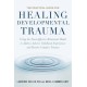 The Practical Guide for Healing Developmental Trauma: Using the NeuroAffective Relational Model to Address Adverse Childhood Experiences and Resolve Complex Trauma