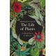 The Life of Plants: A Metaphysics of Mixture